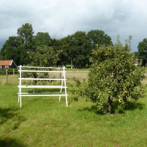 Appelboom Dijkmanszoet