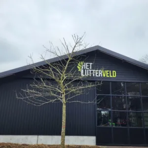 Malus Kaneelzoet hoogstam