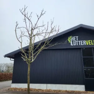 Pyrus Lange lijs perenboom hoogstam