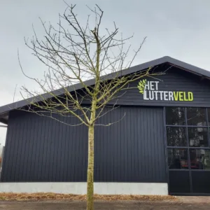 Malus Kaneelzoet hoogstam