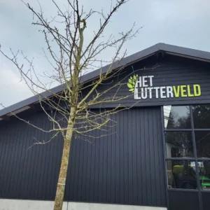 Nouveau poiteau perenboom hoogstam