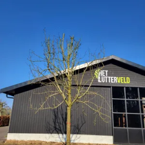 Pyrus Lange lijs perenboom hoogstam